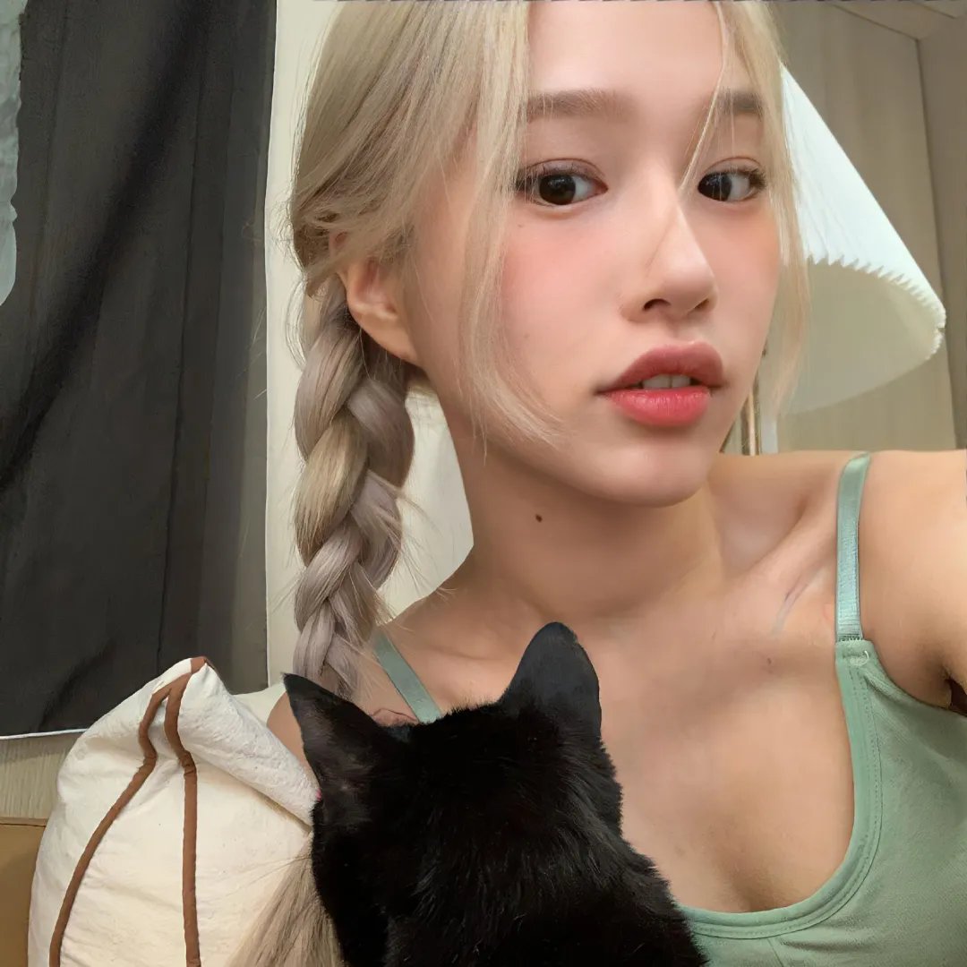猫咪情缘